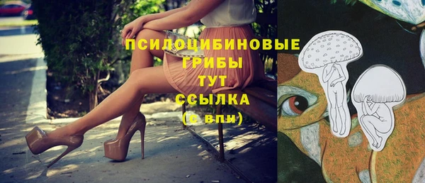 метамфетамин Верея