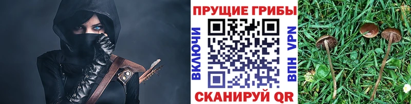 Купить  Козельск  Псилоцибиновые грибы мухоморы 